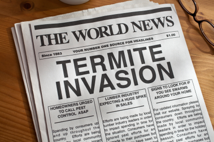 Termites in Guelph