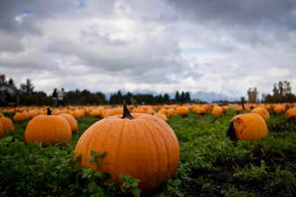 How to Go Green for Halloween
