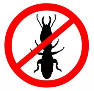 StopTermites