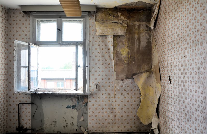 fixer uppers in Guelph
